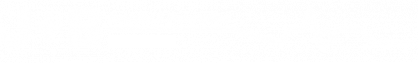 Naturschiefer Logo